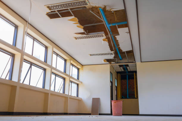 Carpet water damage restoration in Savannah, TX