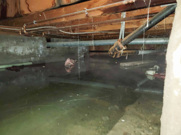 Water damage restoration experts in Savannah, TX