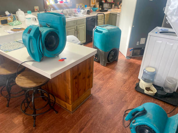Best Water damage cleanup near me  in Savannah, TX