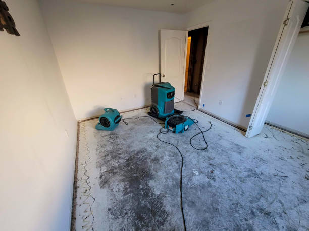 Reliable Savannah, TX Water damage restoration Solutions