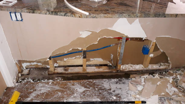 Best 24/7 water damage repair  in Savannah, TX