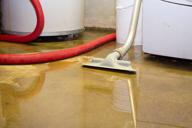 Best 24-hour water damage restoration  in Savannah, TX
