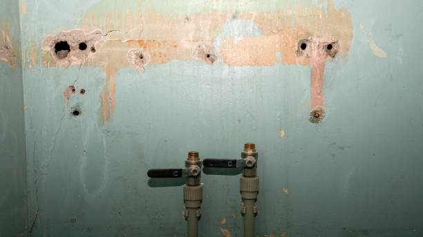 Water damage restoration mold remediation in Savannah, TX