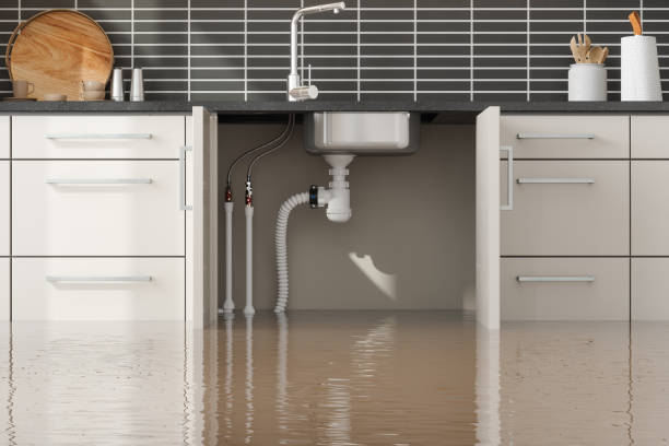 Best Water damage restoration experts  in Savannah, TX